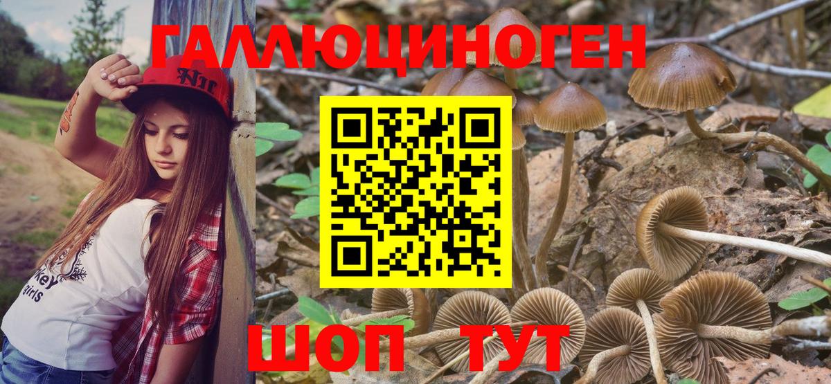 Псилоцибиновые грибы ЛСД  Вход с VPN  Галлюциногенные грибы GOLDEN TEACHER  Югорск 